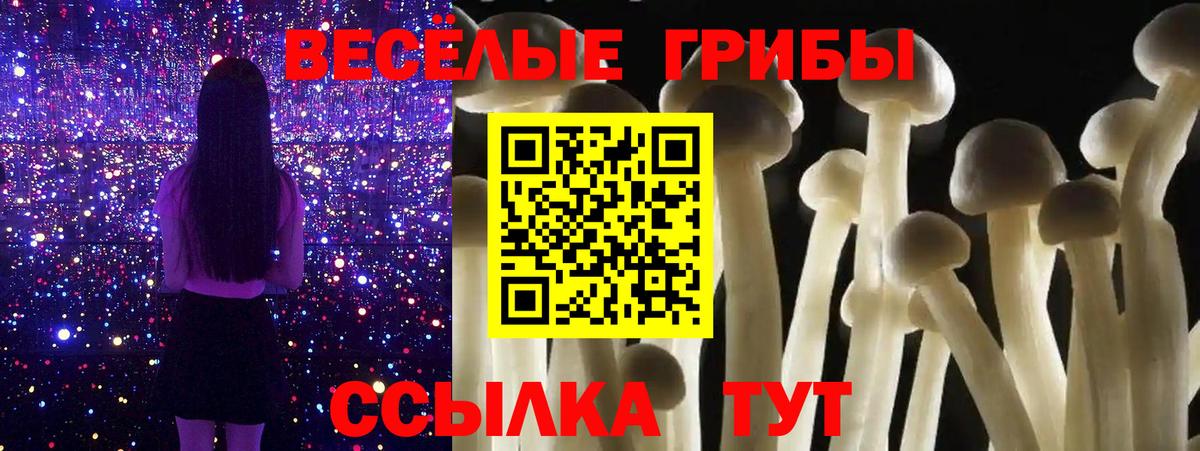 Псилоцибиновые грибы Cubensis Кольчугино