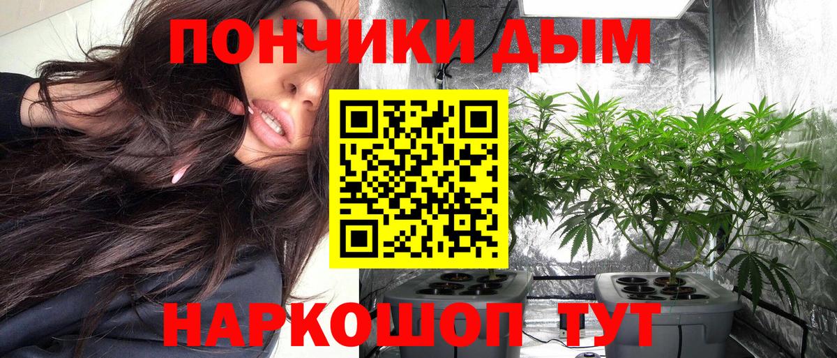 Шишки марихуана SATIVA & INDICA Кольчугино